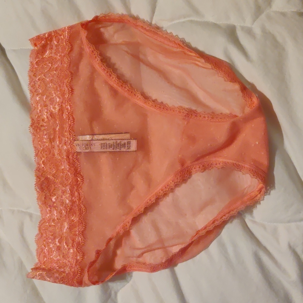 🔥VS high leg brief panties nwt